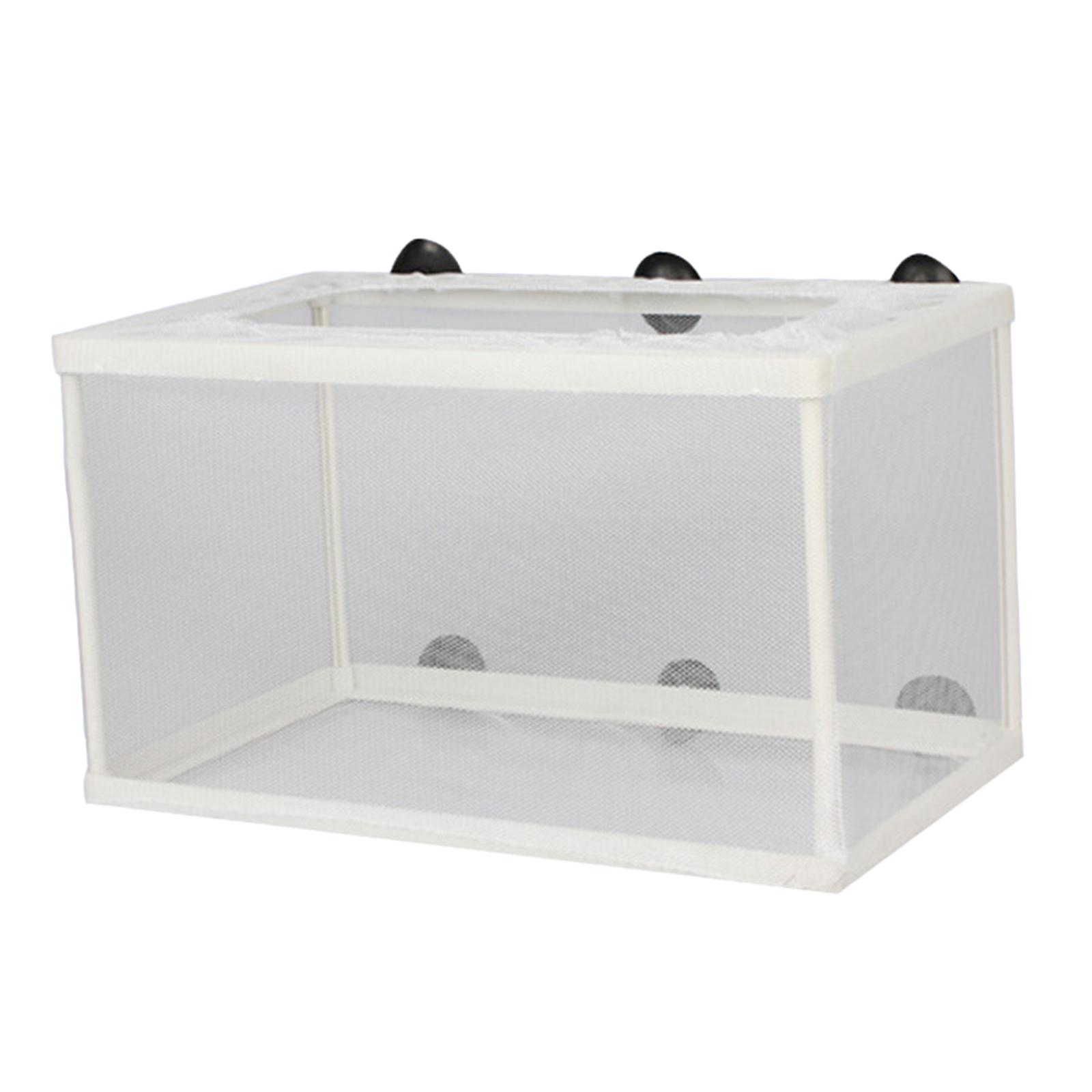 Fish Breeder Box para recém-na - Lab Incubator avaliação e preço