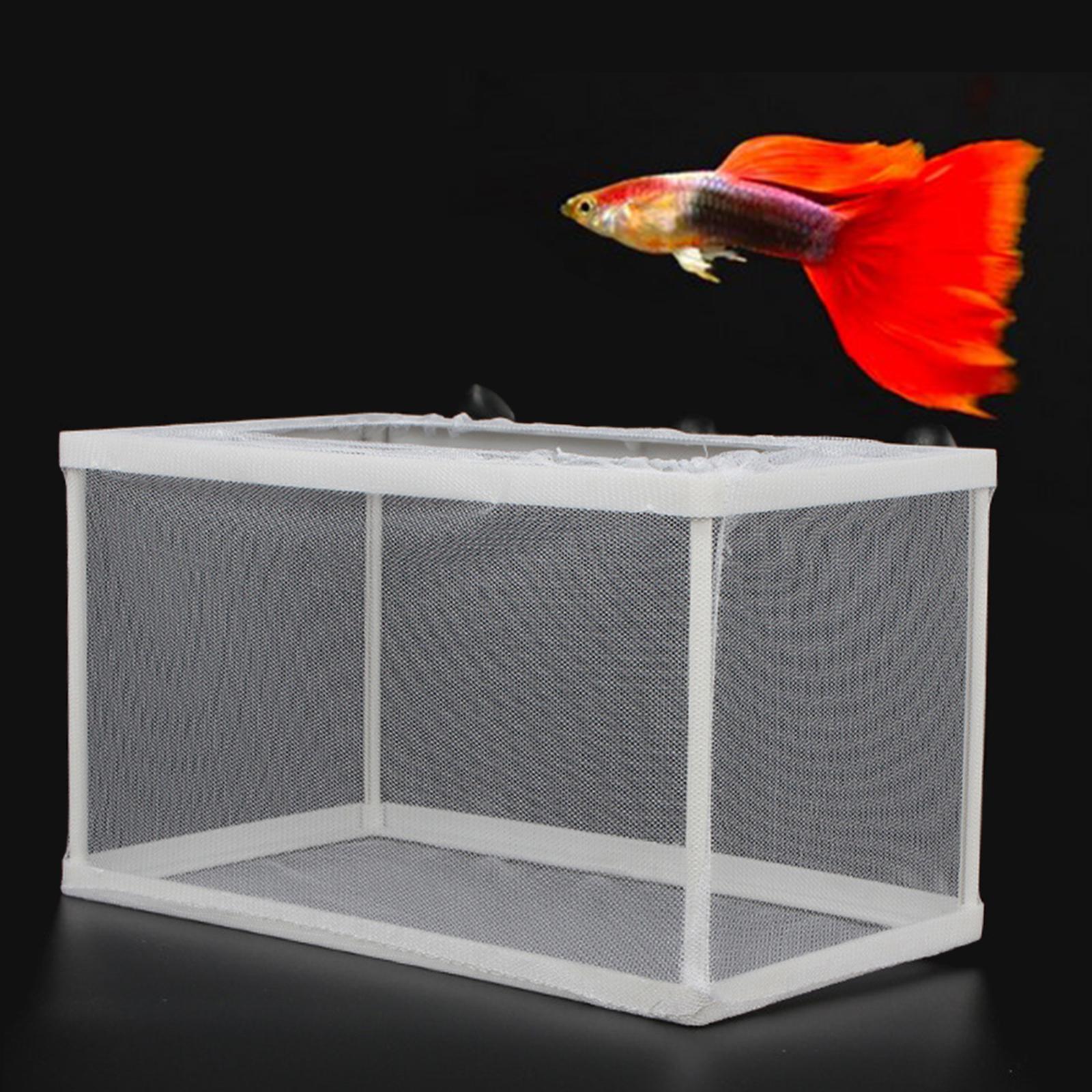 Fish Breeder Box para recém-na - Lab Incubator avaliação e preço