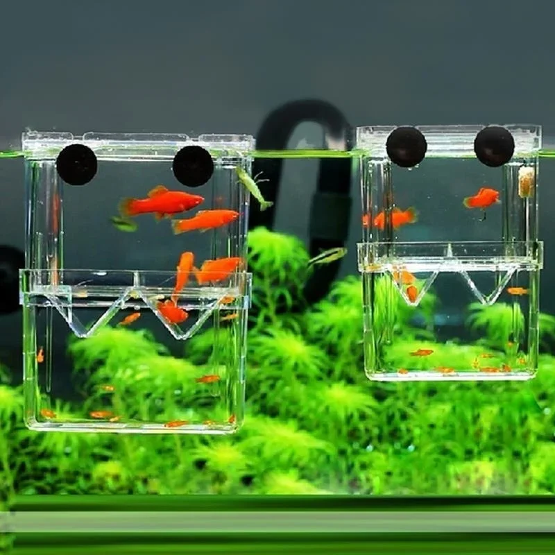 Aquário Multifuncional de Alta - Lab Incubator avaliação e preço